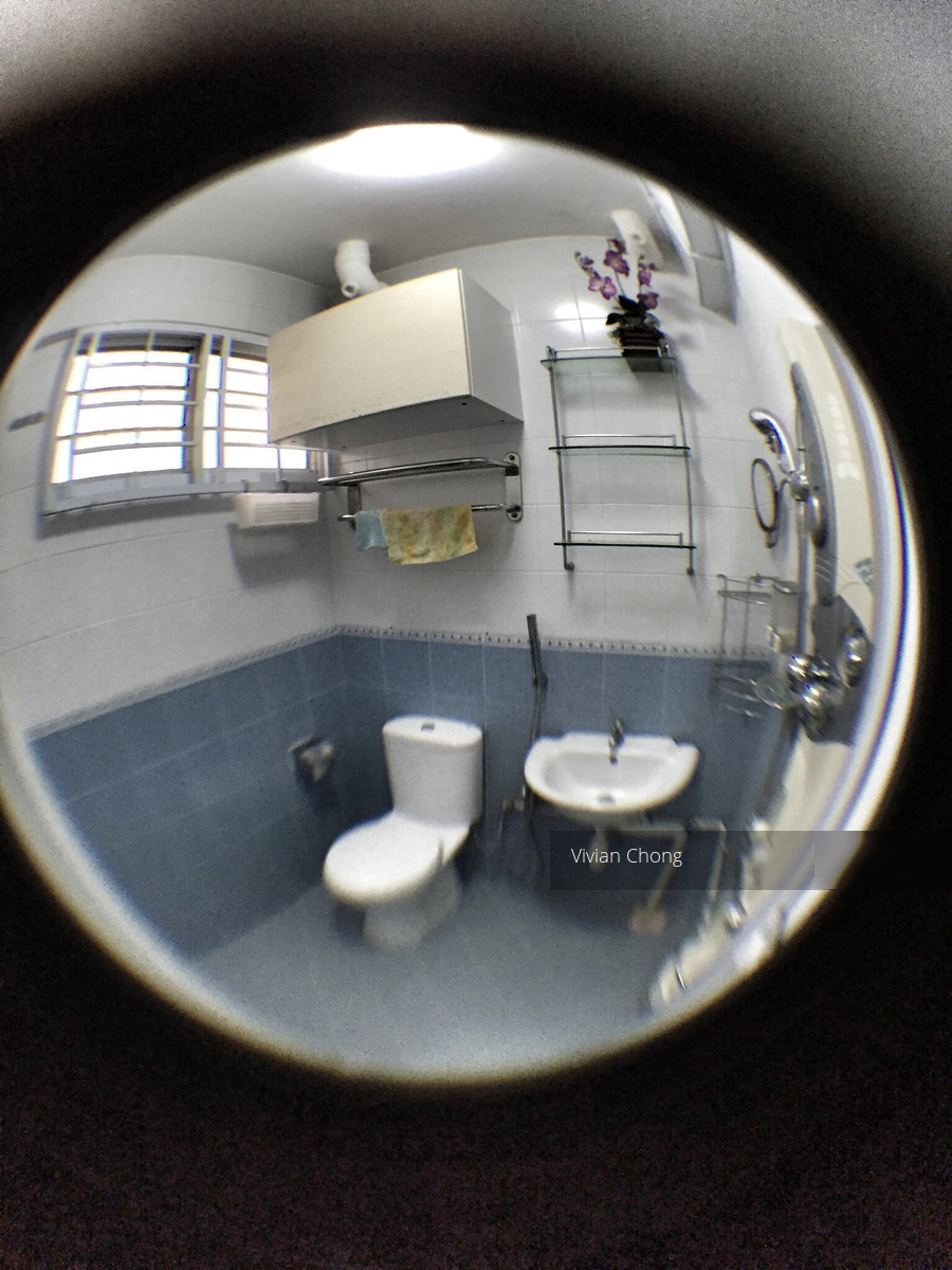 Blk 250 Hougang Avenue 3 (Hougang), HDB 3 Rooms #109876792